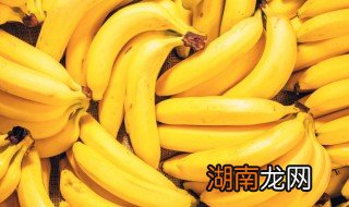 狗可以吃带皮的香蕉吗,狗狗能不能吃香蕉皮