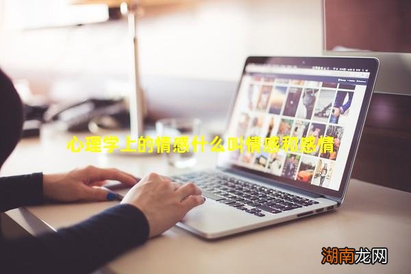 心理学上的情感什么叫情感和感情
