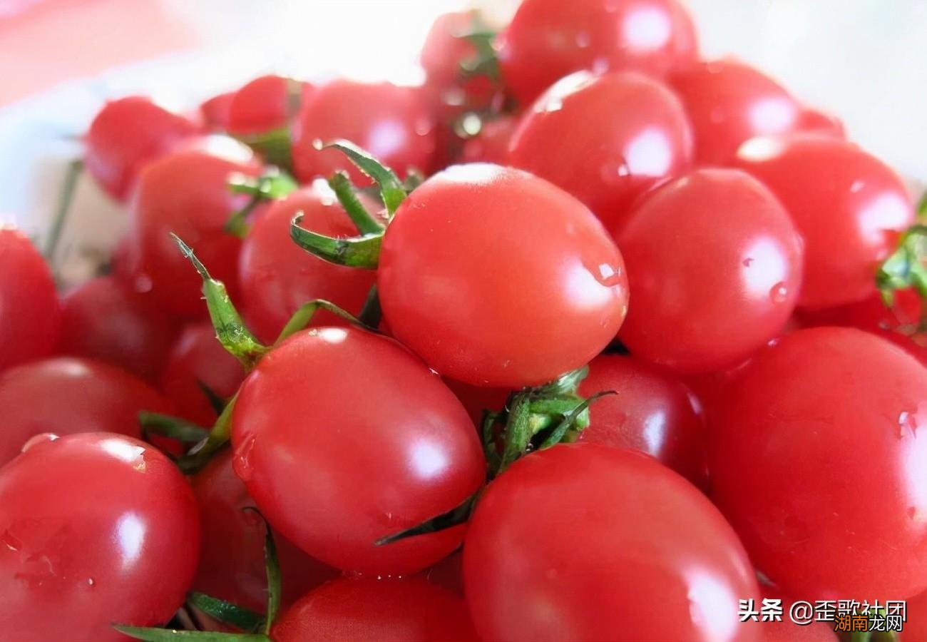 2000年是21世纪还是20世纪年代