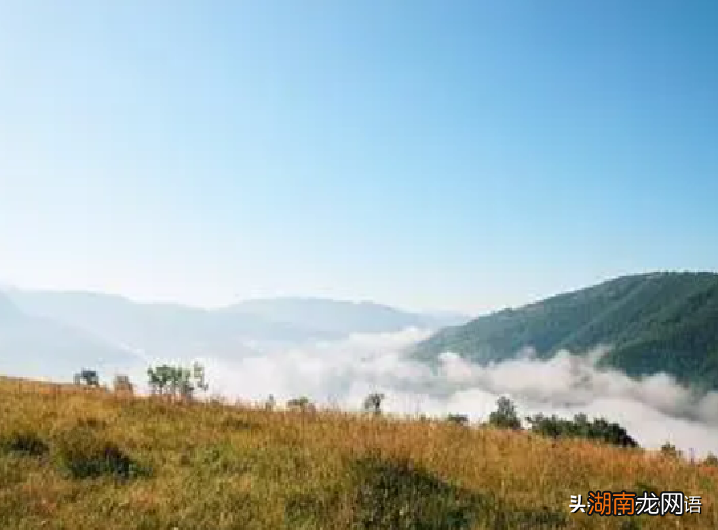 精选十首描写早起的古诗词 有关早起的诗句大全