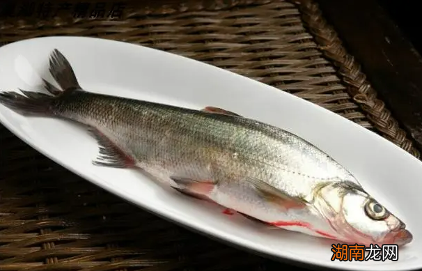 分别是白鱼、银鱼和白虾 太湖三白是哪三白