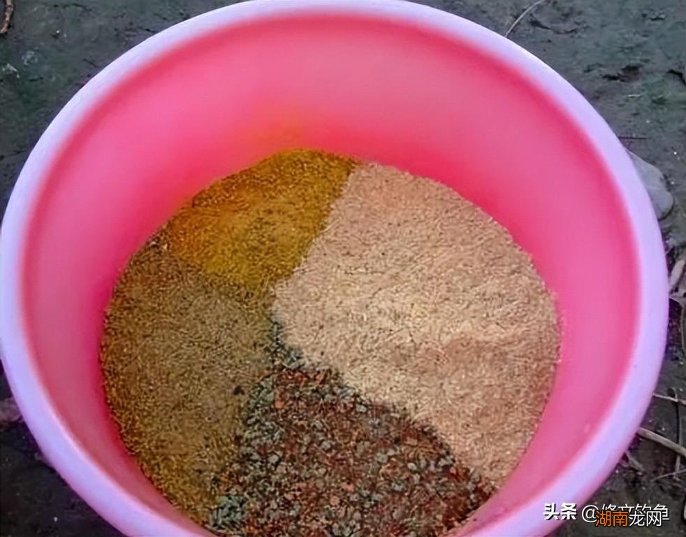 记住这个方法轻松开出好用饵料 扁鱼怎么好钓饵料怎么搭配