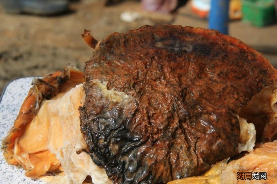 太岁究竟是什么东西 太岁到底是什么生物