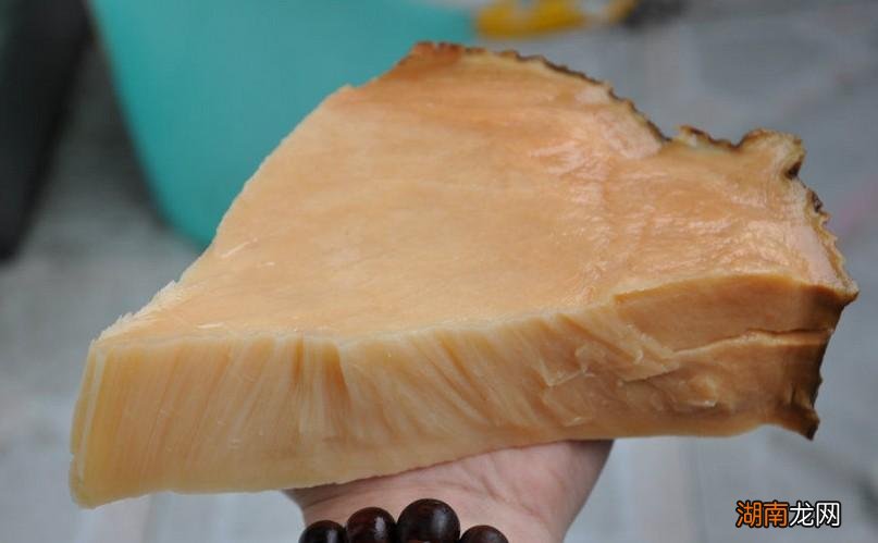 太岁究竟是什么东西 太岁到底是什么生物