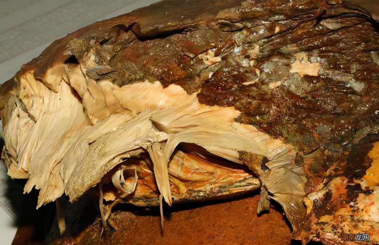 太岁究竟是什么东西 太岁到底是什么生物