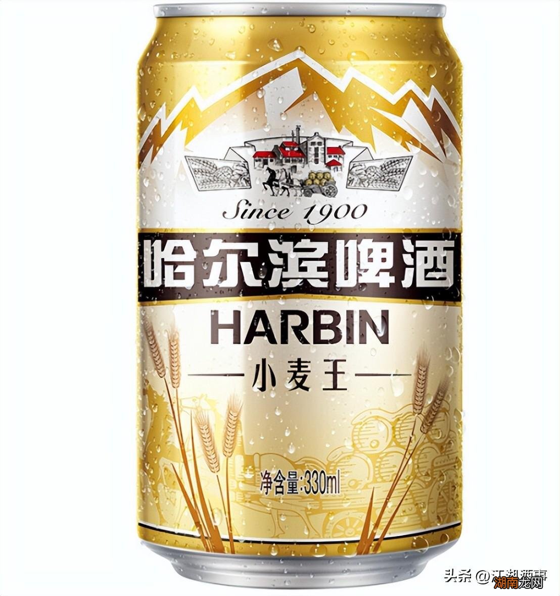 哈啤是中国品牌啤酒吗 哈啤是哪个国家的品牌