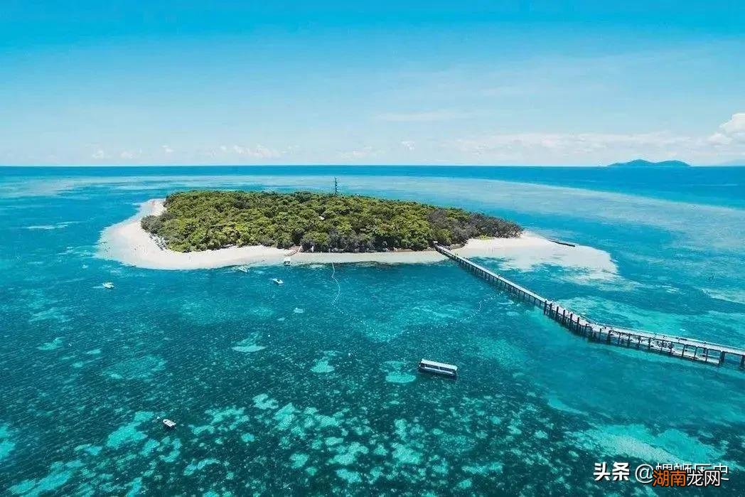 大堡礁面积有多大 世界上最大的珊瑚礁是什么礁