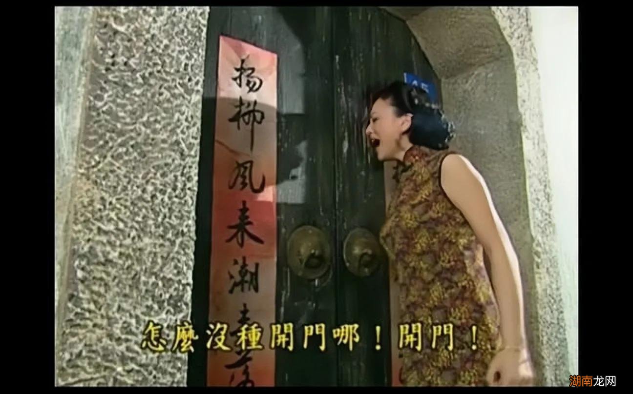 雪姨王琳主演的电视剧有哪些 雪姨王琳个人资料简介