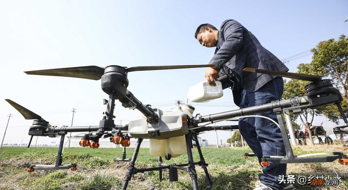 老农教你正确的施肥方法 尿素怎么施肥效果好肥效翻倍