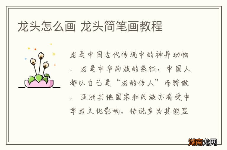 龙头怎么画 龙头简笔画教程