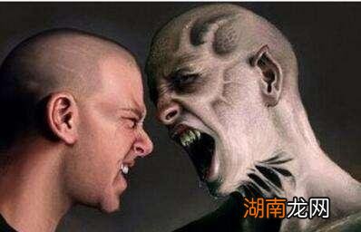 情感文章短文感情博主是什么意思