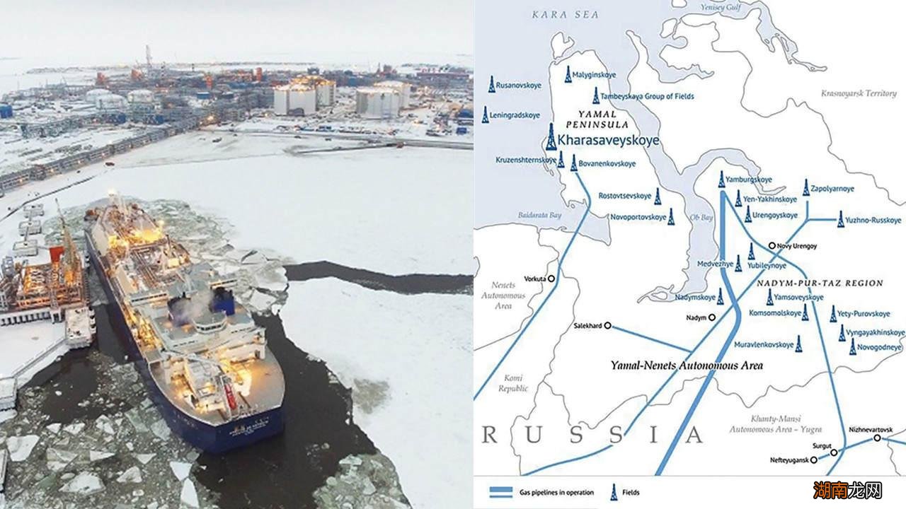 石油天然气怎么来的 煤炭石油天然气被统称为什么