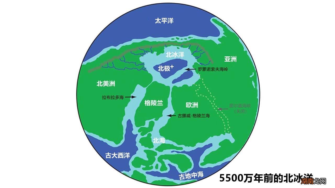 石油天然气怎么来的 煤炭石油天然气被统称为什么