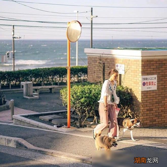 对婚姻的感悟经典句子