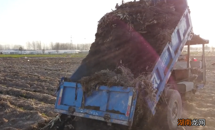 农户自制猪粪有机肥的简单方法 猪粪怎么处理成有机肥