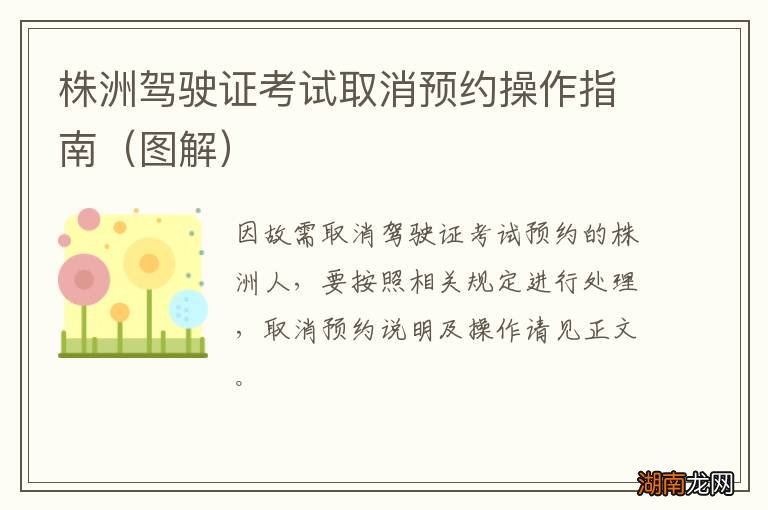 图解 株洲驾驶证考试取消预约操作指南