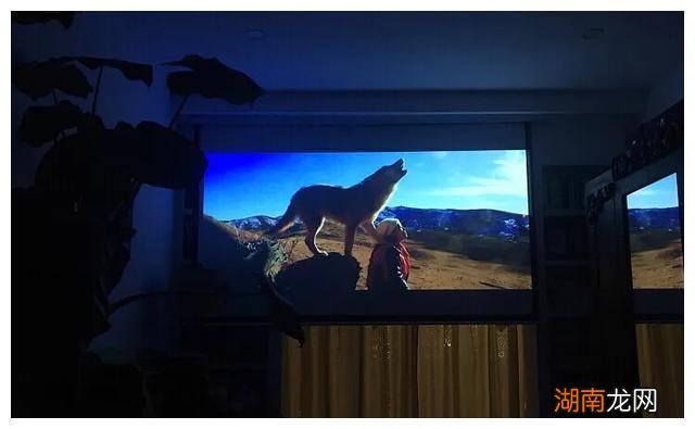 上海发现一位屋主的家,摆满二手旧家具,以绿植为伴,好美好治愈