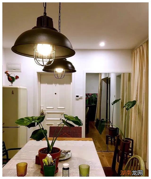 上海发现一位屋主的家,摆满二手旧家具,以绿植为伴,好美好治愈