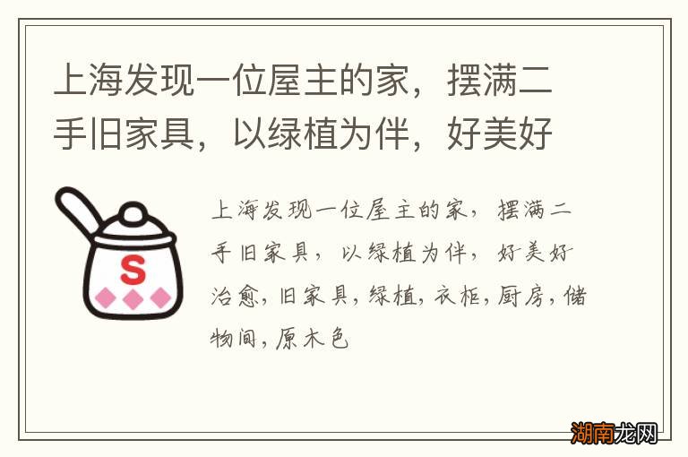 上海发现一位屋主的家,摆满二手旧家具,以绿植为伴,好美好治愈