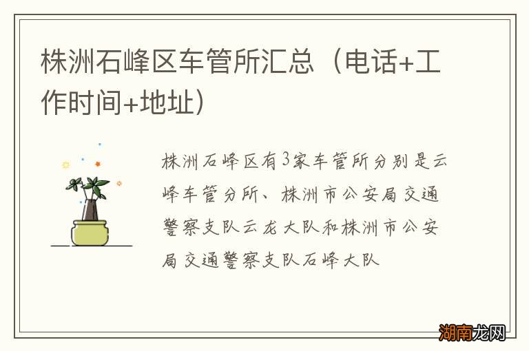 电话+工作时间+地址 株洲石峰区车管所汇总