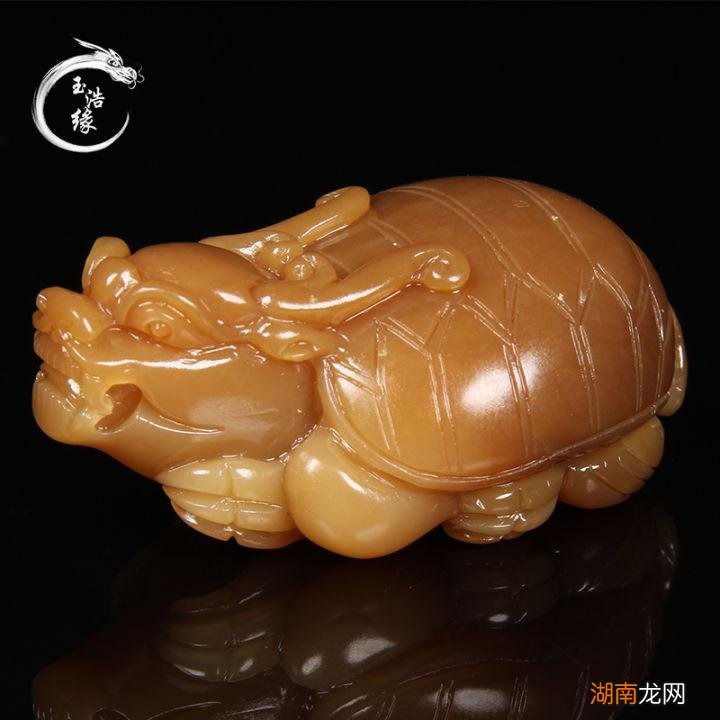 为何说龙龟是学霸级的瑞兽 龙头龟身是什么神兽