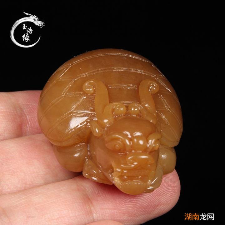 为何说龙龟是学霸级的瑞兽 龙头龟身是什么神兽