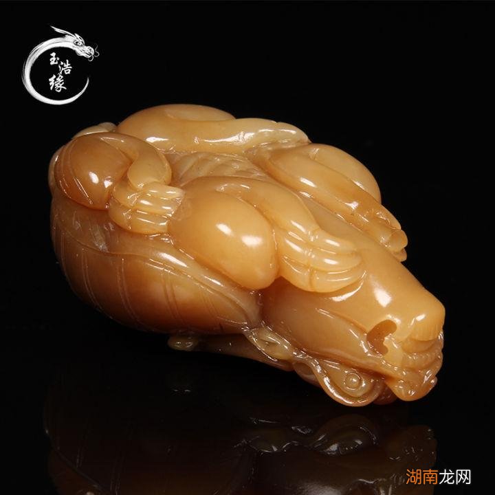 为何说龙龟是学霸级的瑞兽 龙头龟身是什么神兽