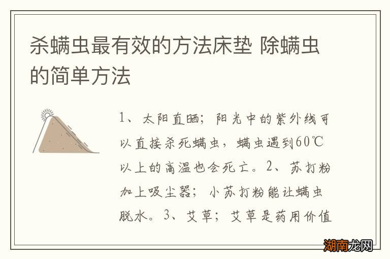 杀螨虫最有效的方法床垫 除螨虫的简单方法