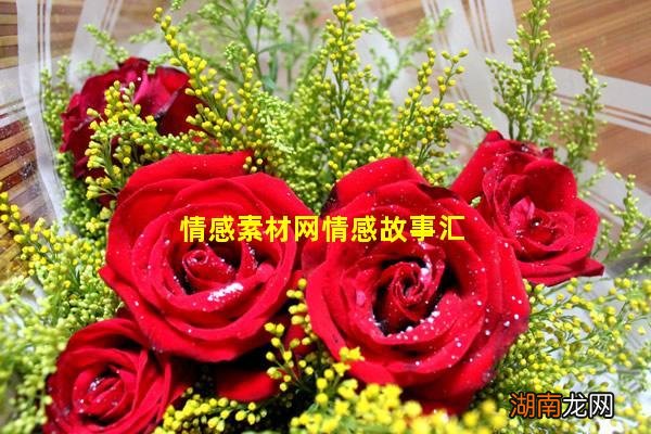 情感素材网情感故事汇