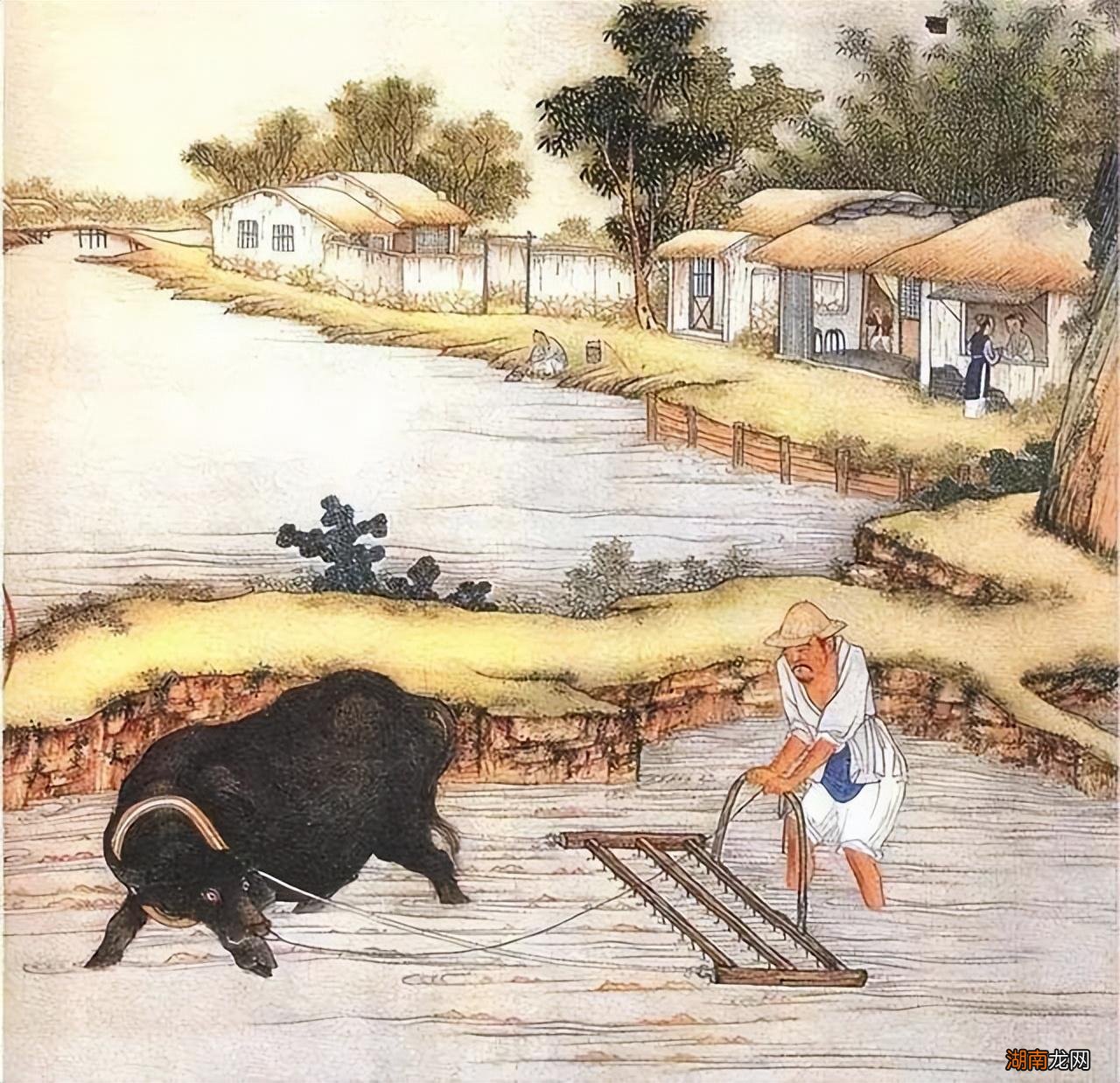 儒家亚圣孟子的仁政理论 仁政是谁提出的思想主张