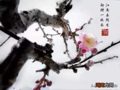 赤壁怀古表达什么感想 赤壁怀古苏轼原文及注释翻译