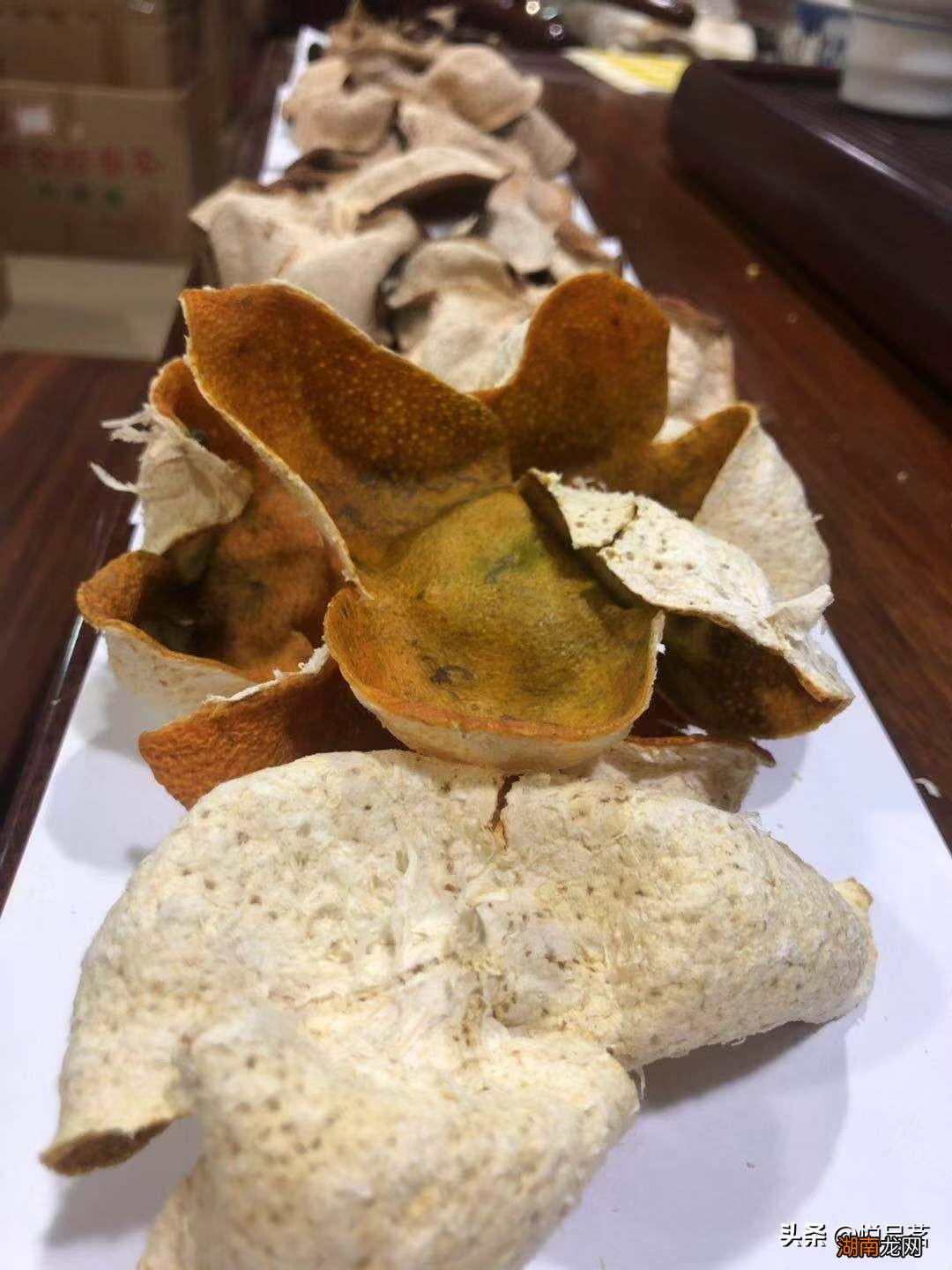 新会陈皮哪个地方的最好 陈皮哪里的正宗又好吃