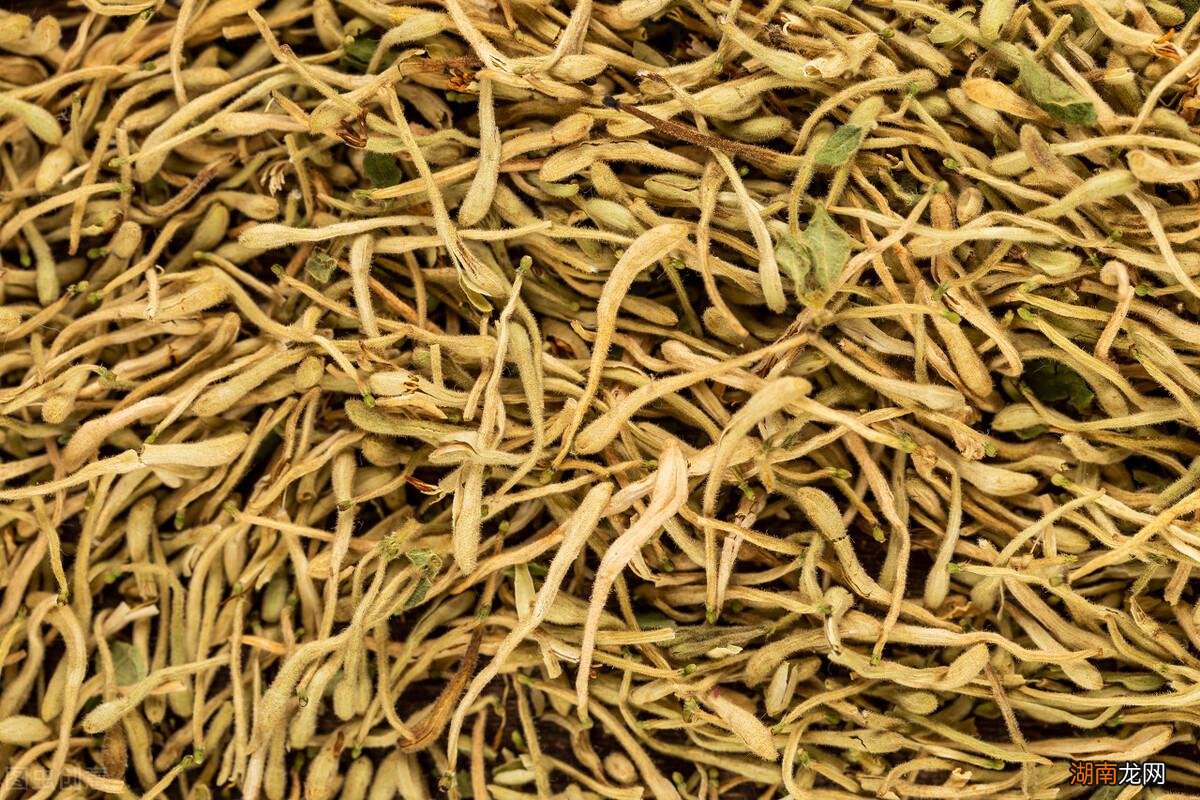 栽种金银花一亩能赚多少钱 金银花种植成本及利润