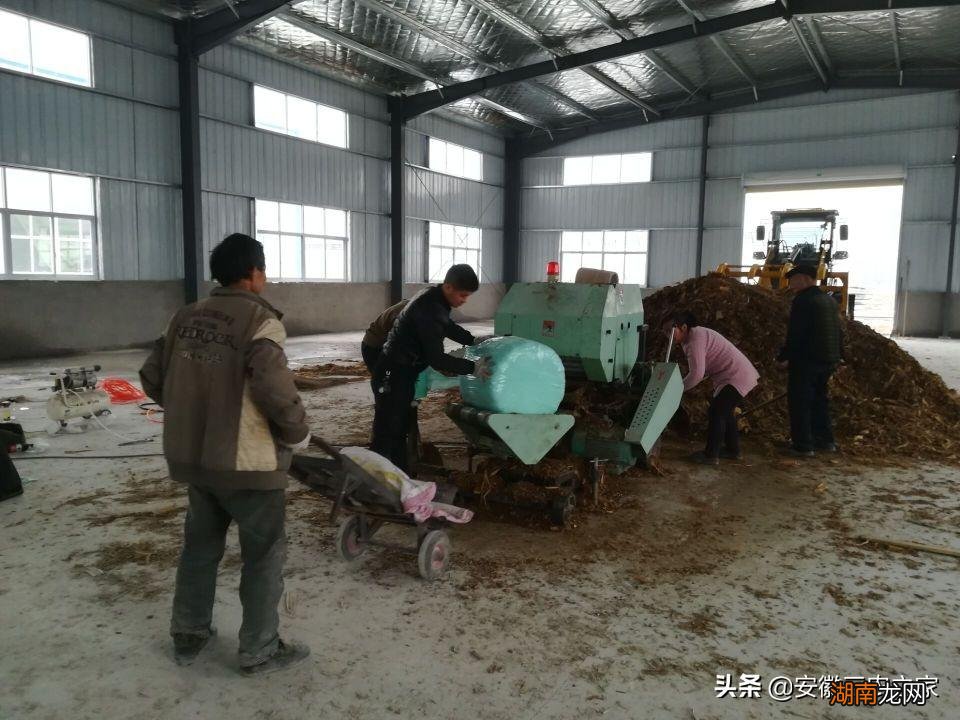 农村养殖牛的真实利润分析 养牛10头牛有多少利润