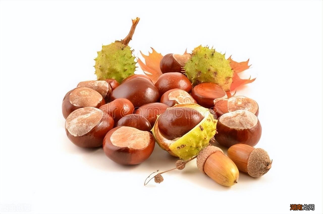 新鲜板栗的常见吃饭简介 板栗什么季节成熟上市