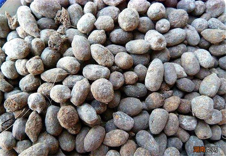 羊粪发酵腐熟种花详细步骤 羊粪怎么发酵才可以当肥料