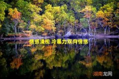 情感漠视 冷暴力双向情感