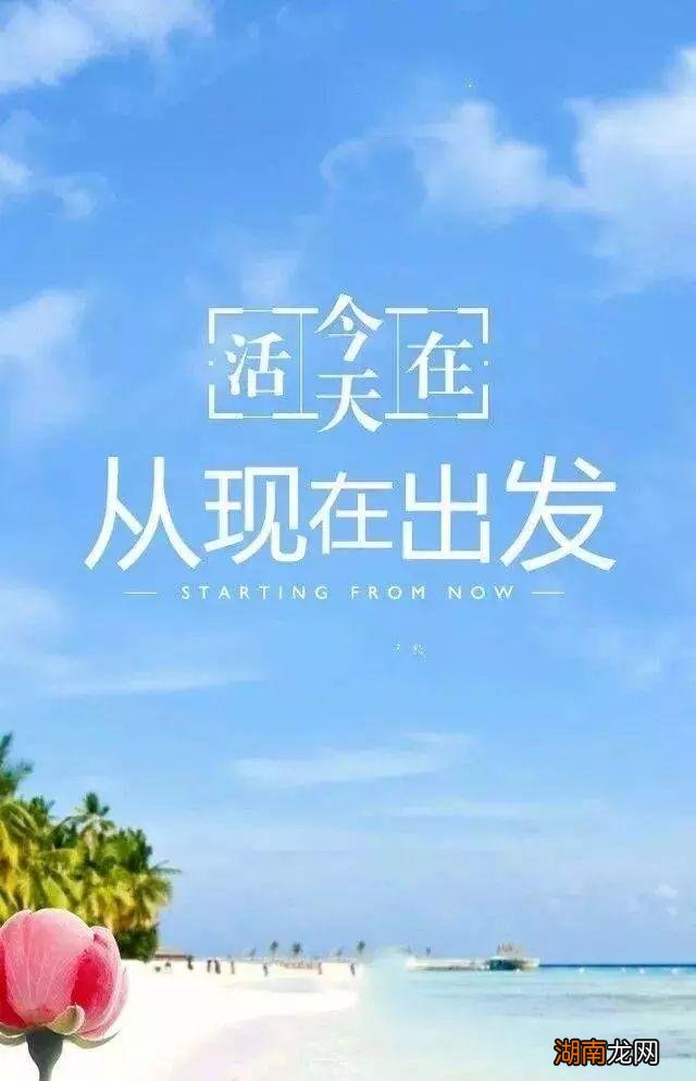 情感和心情的区别