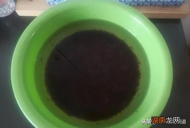 钓鱼红虫的保存小技巧 网上买的红虫怎么保存时间长