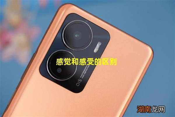 感觉和感受的区别