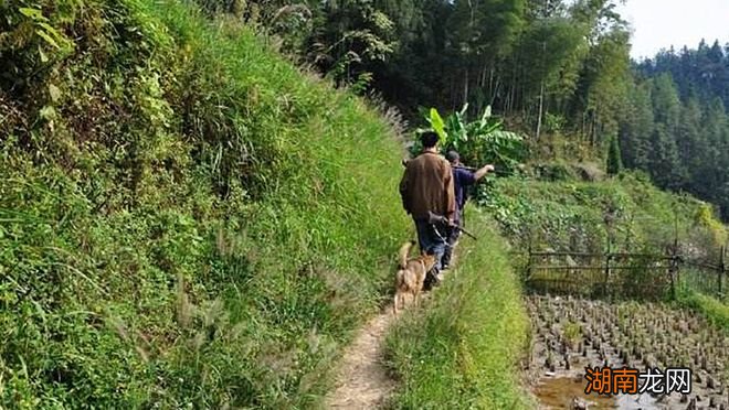 情感问答题及答案