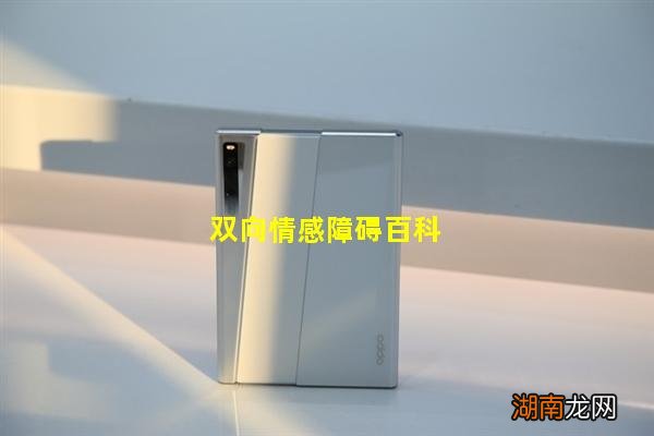 双向情感障碍百科