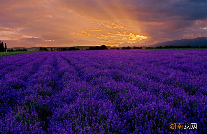 中国唯一正规八卦城所在位置 新疆八卦城位于新疆哪里