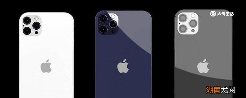 苹果12有多大 iphone12手机尺寸