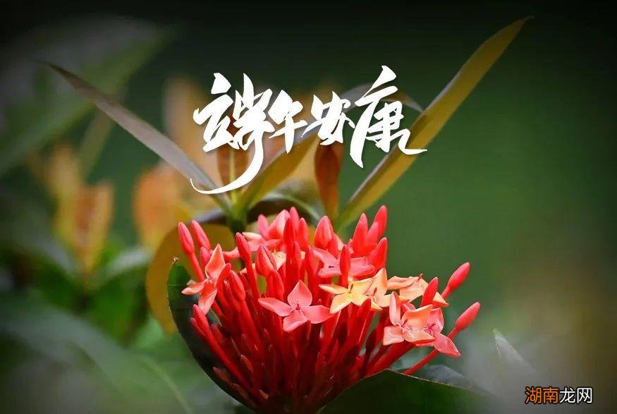 最经典的端午节古诗词赏析 小学端午节最常见诗句四句