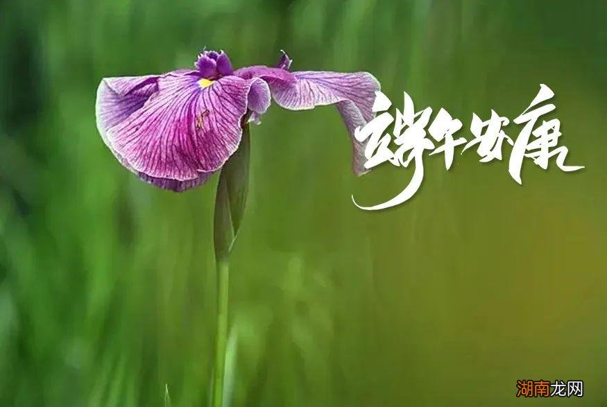 最经典的端午节古诗词赏析 小学端午节最常见诗句四句