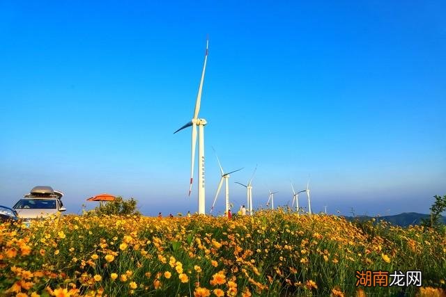 湖南省邵阳常住人口数量变化情况 邵阳人口总数多少