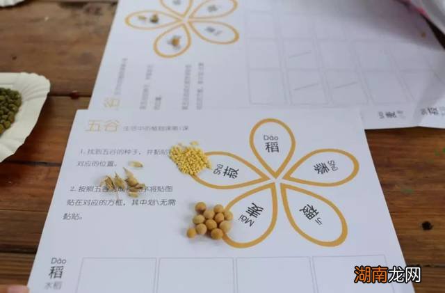 稻粱菽麦黍稷的菽是什么意思怎么读