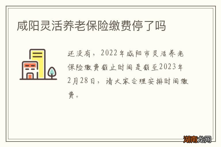 咸阳灵活养老保险缴费停了吗