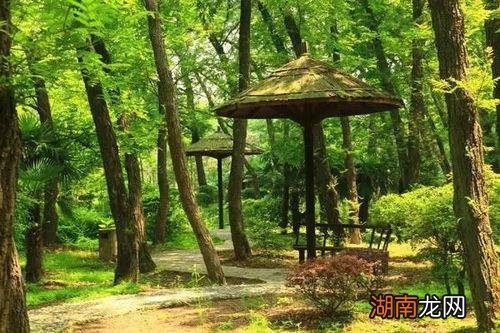 自挂东南枝是什么寓意和象征